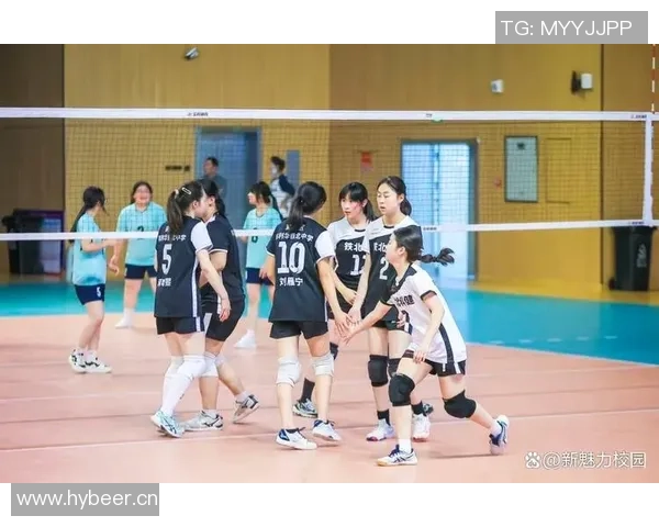 南京排球队最新配合技巧TOP10引领排球新潮流